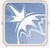 Safety Wall - Ragnarok Online 3 skill icon