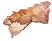 Animal Skin
