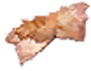 Animal Skin - Ragnarok Online 3 item icon